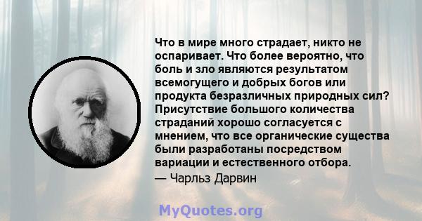 Что в мире много страдает, никто не оспаривает. Что более вероятно, что боль и зло являются результатом всемогущего и добрых богов или продукта безразличных природных сил? Присутствие большого количества страданий