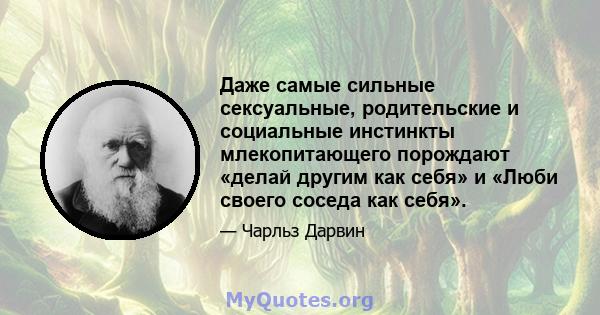 Даже самые сильные сексуальные, родительские и социальные инстинкты млекопитающего порождают «делай другим как себя» и «Люби своего соседа как себя».