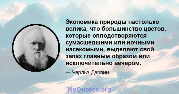 Экономика природы настолько велика, что большинство цветов, которые оплодотворяются сумасшедшими или ночными насекомыми, выделяют свой запах главным образом или исключительно вечером.