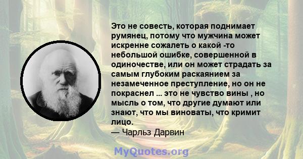 Это не совесть, которая поднимает румянец, потому что мужчина может искренне сожалеть о какой -то небольшой ошибке, совершенной в одиночестве, или он может страдать за самым глубоким раскаянием за незамеченное