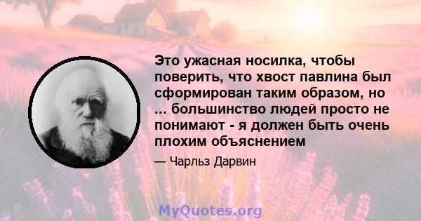 Это ужасная носилка, чтобы поверить, что хвост павлина был сформирован таким образом, но ... большинство людей просто не понимают - я должен быть очень плохим объяснением