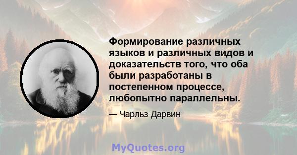 Формирование различных языков и различных видов и доказательств того, что оба были разработаны в постепенном процессе, любопытно параллельны.