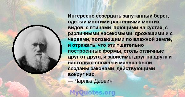 Интересно созерцать запутанный берег, одетый многими растениями многих видов, с птицами, поющими на кустах, с различными насекомыми, дрожащими и с червями, ползающими по влажной земле, и отражать, что эти тщательно