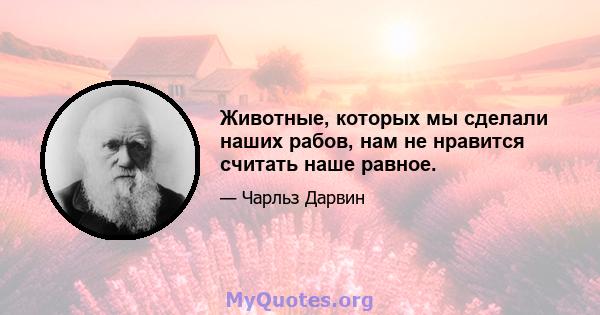 Животные, которых мы сделали наших рабов, нам не нравится считать наше равное.