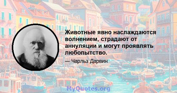 Животные явно наслаждаются волнением, страдают от аннуляции и могут проявлять любопытство.