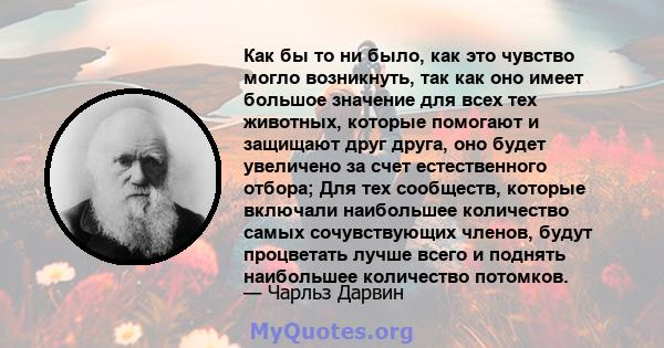 Как бы то ни было, как это чувство могло возникнуть, так как оно имеет большое значение для всех тех животных, которые помогают и защищают друг друга, оно будет увеличено за счет естественного отбора; Для тех сообществ, 