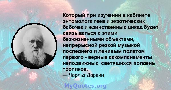 Который при изучении в кабинете энтомолога геев и экзотических бабочек и единственных цикад будет связываться с этими безжизненными объектами, непрерысной резкой музыкой последнего и ленивым полетом первого - верные