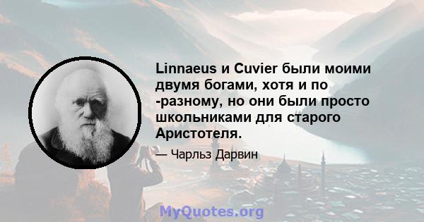 Linnaeus и Cuvier были моими двумя богами, хотя и по -разному, но они были просто школьниками для старого Аристотеля.