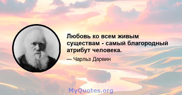 Любовь ко всем живым существам - самый благородный атрибут человека.