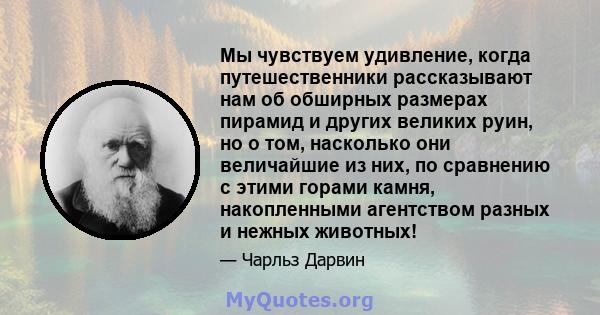 Мы чувствуем удивление, когда путешественники рассказывают нам об обширных размерах пирамид и других великих руин, но о том, насколько они величайшие из них, по сравнению с этими горами камня, накопленными агентством