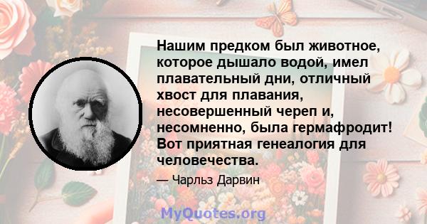 Нашим предком был животное, которое дышало водой, имел плавательный дни, отличный хвост для плавания, несовершенный череп и, несомненно, была гермафродит! Вот приятная генеалогия для человечества.