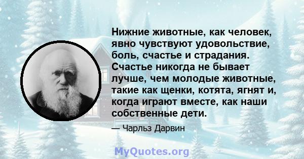 Нижние животные, как человек, явно чувствуют удовольствие, боль, счастье и страдания. Счастье никогда не бывает лучше, чем молодые животные, такие как щенки, котята, ягнят и, когда играют вместе, как наши собственные