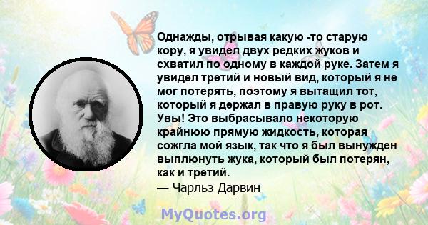 Однажды, отрывая какую -то старую кору, я увидел двух редких жуков и схватил по одному в каждой руке. Затем я увидел третий и новый вид, который я не мог потерять, поэтому я вытащил тот, который я держал в правую руку в 