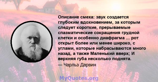 Описание смеха: звук создается глубоким вдохновением, за которым следует короткие, прерываемые спазматические сокращения грудной клетки и особенно диафрагма ... рот открыт более или менее широко, с углами, которые