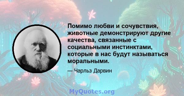 Помимо любви и сочувствия, животные демонстрируют другие качества, связанные с социальными инстинктами, которые в нас будут называться моральными.