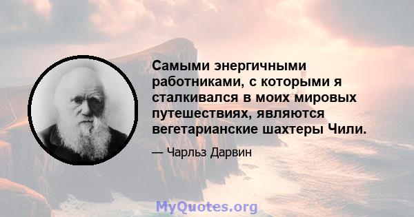 Самыми энергичными работниками, с которыми я сталкивался в моих мировых путешествиях, являются вегетарианские шахтеры Чили.