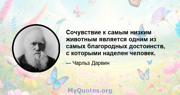 Сочувствие к самым низким животным является одним из самых благородных достоинств, с которыми наделен человек.