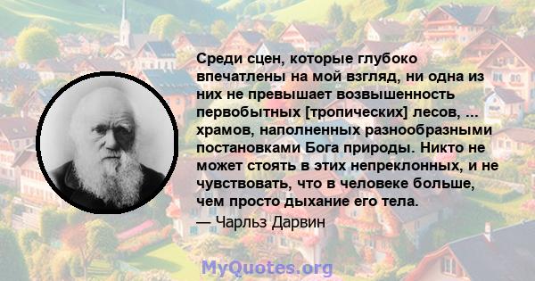 Среди сцен, которые глубоко впечатлены на мой взгляд, ни одна из них не превышает возвышенность первобытных [тропических] лесов, ... храмов, наполненных разнообразными постановками Бога природы. Никто не может стоять в