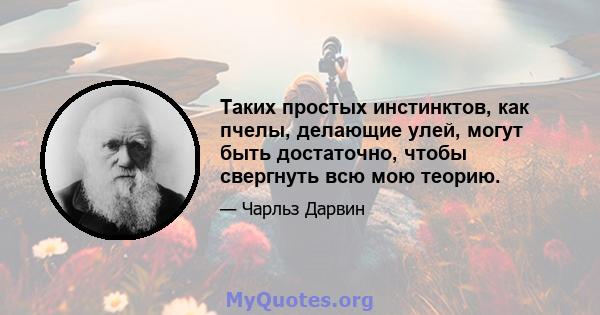 Таких простых инстинктов, как пчелы, делающие улей, могут быть достаточно, чтобы свергнуть всю мою теорию.