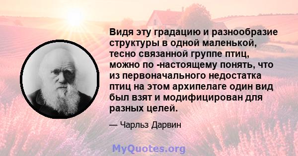 Видя эту градацию и разнообразие структуры в одной маленькой, тесно связанной группе птиц, можно по -настоящему понять, что из первоначального недостатка птиц на этом архипелаге один вид был взят и модифицирован для