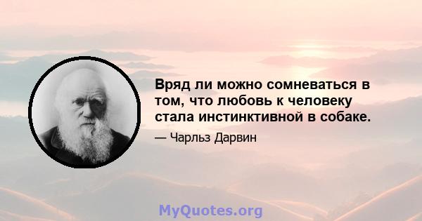 Вряд ли можно сомневаться в том, что любовь к человеку стала инстинктивной в собаке.