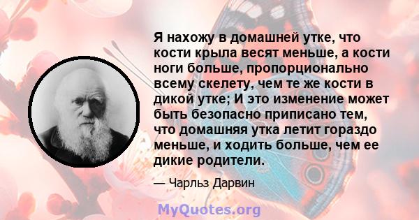 Я нахожу в домашней утке, что кости крыла весят меньше, а кости ноги больше, пропорционально всему скелету, чем те же кости в дикой утке; И это изменение может быть безопасно приписано тем, что домашняя утка летит