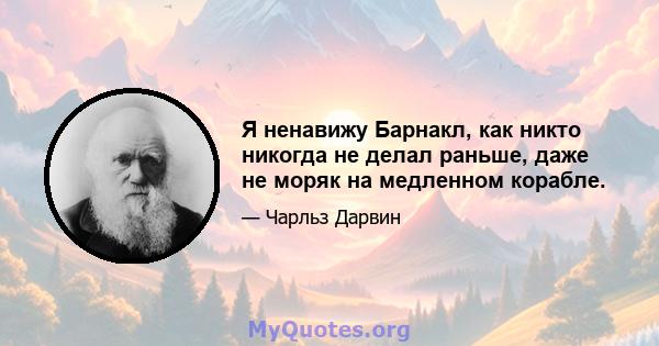 Я ненавижу Барнакл, как никто никогда не делал раньше, даже не моряк на медленном корабле.