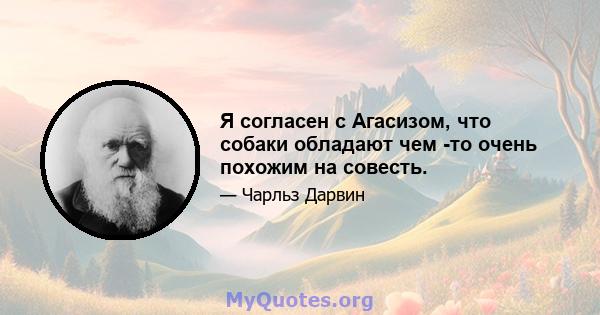 Я согласен с Агасизом, что собаки обладают чем -то очень похожим на совесть.