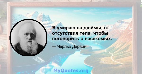 Я умираю на дюймы, от отсутствия тела, чтобы поговорить о насекомых.