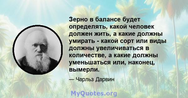 Зерно в балансе будет определять, какой человек должен жить, а какие должны умирать - какой сорт или виды должны увеличиваться в количестве, а какие должны уменьшаться или, наконец, вымерли.