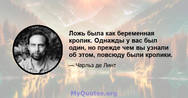 Ложь была как беременная кролик. Однажды у вас был один, но прежде чем вы узнали об этом, повсюду были кролики.