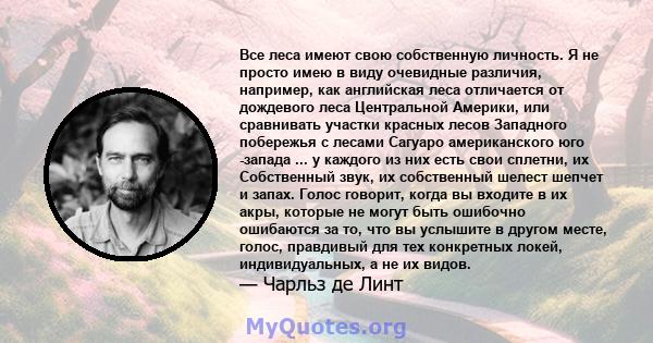 Все леса имеют свою собственную личность. Я не просто имею в виду очевидные различия, например, как английская леса отличается от дождевого леса Центральной Америки, или сравнивать участки красных лесов Западного