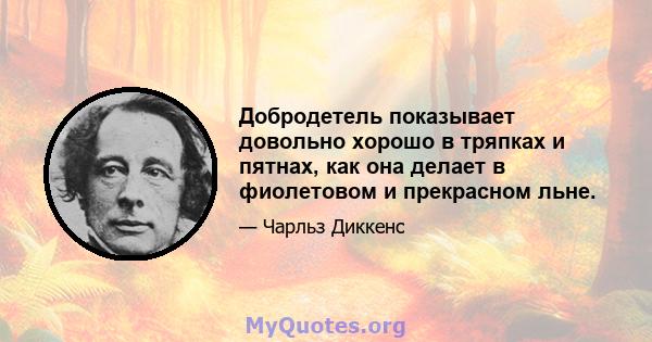 Добродетель показывает довольно хорошо в тряпках и пятнах, как она делает в фиолетовом и прекрасном льне.