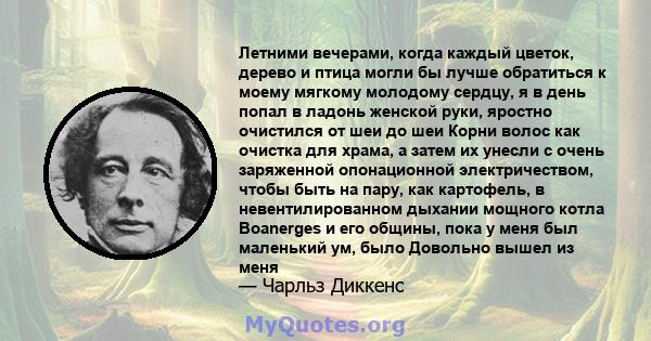 Летними вечерами, когда каждый цветок, дерево и птица могли бы лучше обратиться к моему мягкому молодому сердцу, я в день попал в ладонь женской руки, яростно очистился от шеи до шеи Корни волос как очистка для храма, а 