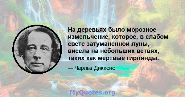 На деревьях было морозное измельчение, которое, в слабом свете затуманенной луны, висела на небольших ветвях, таких как мертвые гирлянды.