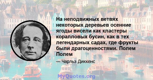 На неподвижных ветвях некоторых деревьев осенние ягоды висели как кластеры коралловых бусин, как в тех легендарных садах, где фрукты были драгоценностями. Полем Полем