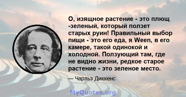 О, изящное растение - это плющ -зеленый, который ползет старых руин! Правильный выбор пищи - это его еда, я Ween, в его камере, такой одинокой и холодной. Ползующий там, где не видно жизни, редкое старое растение - это