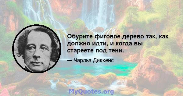 Обурите фиговое дерево так, как должно идти, и когда вы стареете под тени.