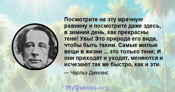 Посмотрите на эту мрачную равнину и посмотрите даже здесь, в зимний день, как прекрасны тени! Увы! Это природа его вида, чтобы быть таким. Самые милые вещи в жизни ... это только тени; И они приходят и уходят, меняются