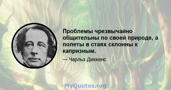 Проблемы чрезвычайно общительны по своей природе, а полеты в стаях склонны к капризным.