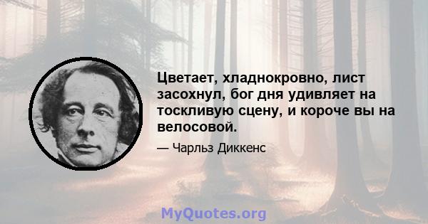 Цветает, хладнокровно, лист засохнул, бог дня удивляет на тоскливую сцену, и короче вы на велосовой.