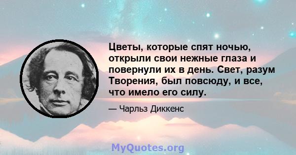 Цветы, которые спят ночью, открыли свои нежные глаза и повернули их в день. Свет, разум Творения, был повсюду, и все, что имело его силу.