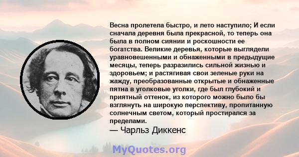 Весна пролетела быстро, и лето наступило; И если сначала деревня была прекрасной, то теперь она была в полном сиянии и роскошности ее богатства. Великие деревья, которые выглядели уравновешенными и обнаженными в