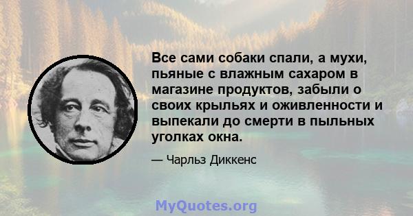 Все сами собаки спали, а мухи, пьяные с влажным сахаром в магазине продуктов, забыли о своих крыльях и оживленности и выпекали до смерти в пыльных уголках окна.