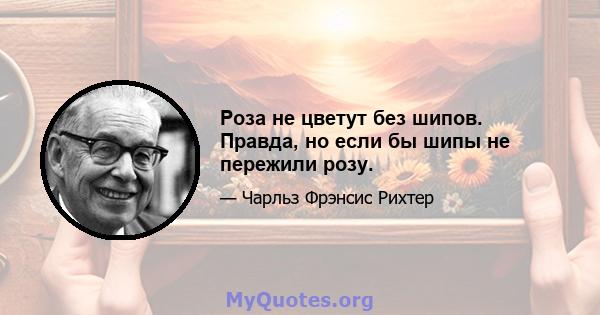 Роза не цветут без шипов. Правда, но если бы шипы не пережили розу.