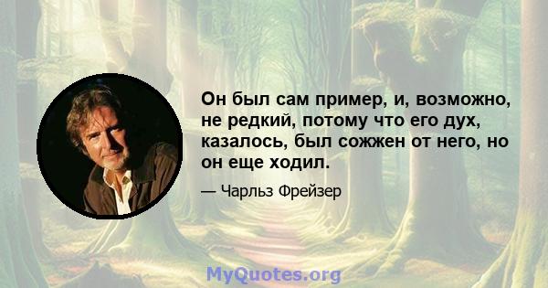 Он был сам пример, и, возможно, не редкий, потому что его дух, казалось, был сожжен от него, но он еще ходил.