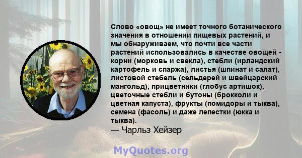 Слово «овощ» не имеет точного ботанического значения в отношении пищевых растений, и мы обнаруживаем, что почти все части растений использовались в качестве овощей - корни (морковь и свекла), стебли (ирландский