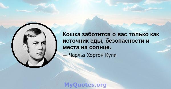 Кошка заботится о вас только как источник еды, безопасности и места на солнце.