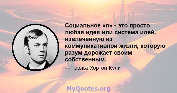 Социальное «я» - это просто любая идея или система идей, извлеченную из коммуникативной жизни, которую разум дорожает своим собственным.