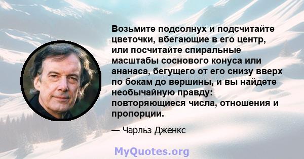 Возьмите подсолнух и подсчитайте цветочки, вбегающие в его центр, или посчитайте спиральные масштабы соснового конуса или ананаса, бегущего от его снизу вверх по бокам до вершины, и вы найдете необычайную правду: